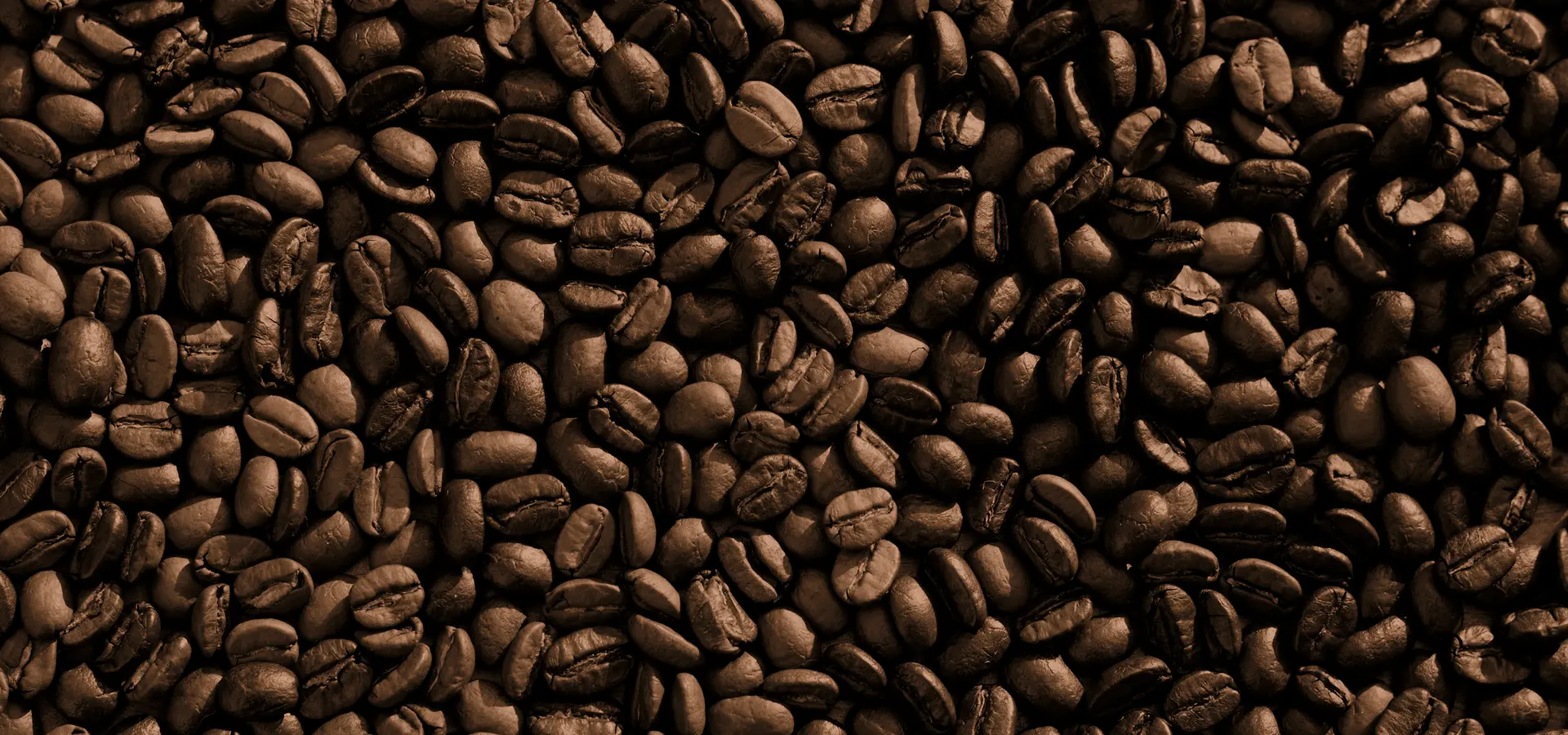 Roasted coffee beans filling the frame