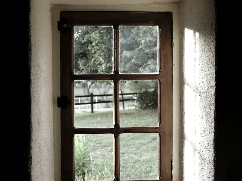 Looking out of the back door across the paddock towards the fence line