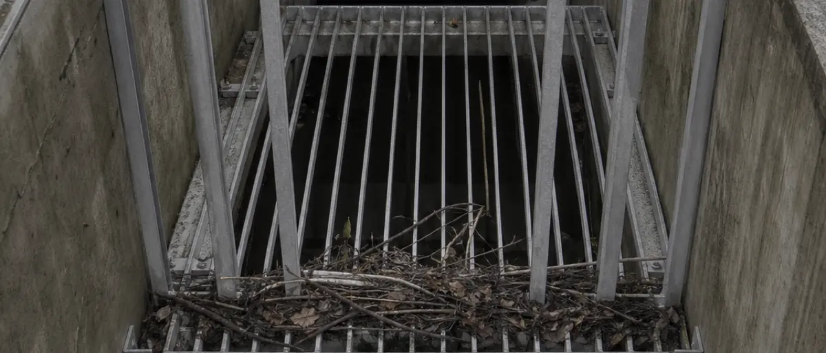 Looking down into the screen chamber above the outfall: a steel grating over standing water, debris caught against the bars.