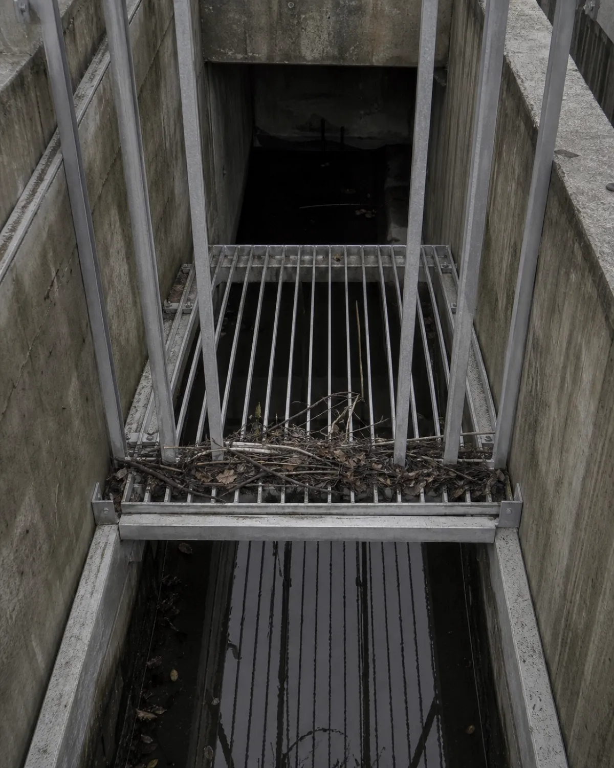 The screen chamber above the outfall, a steel grating over a channel of standing water.