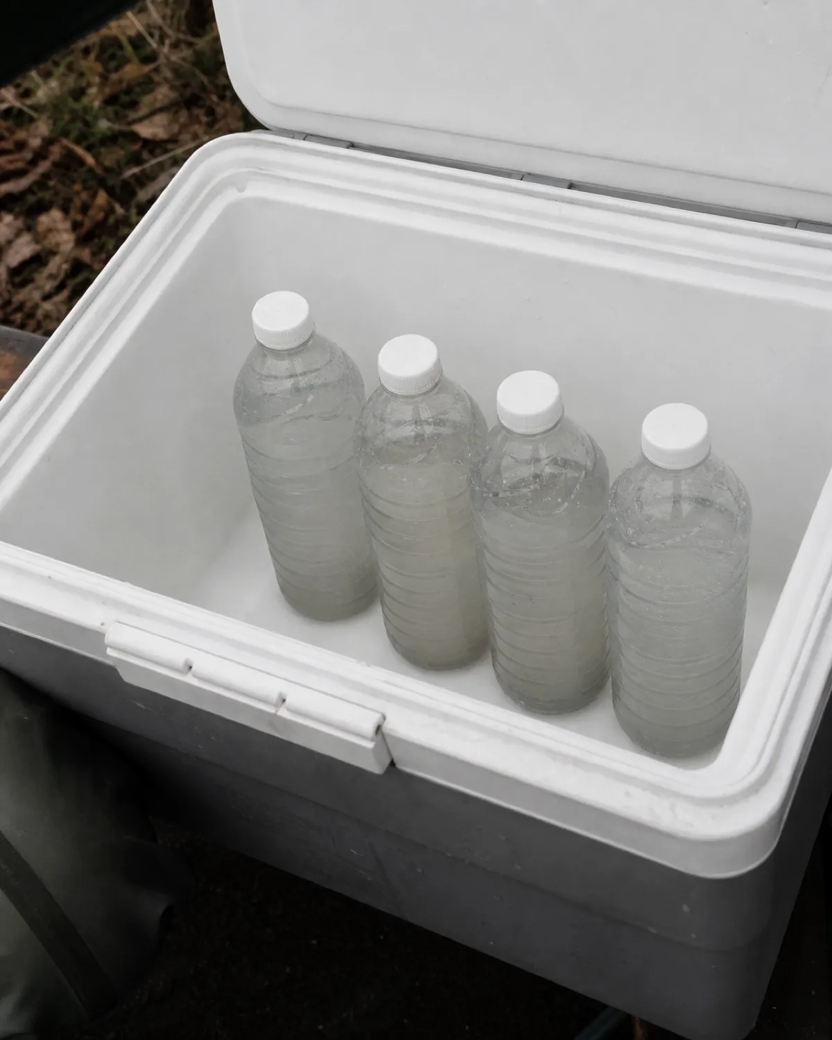 Four sample bottles standing in a cool box, the water in them visibly grey.