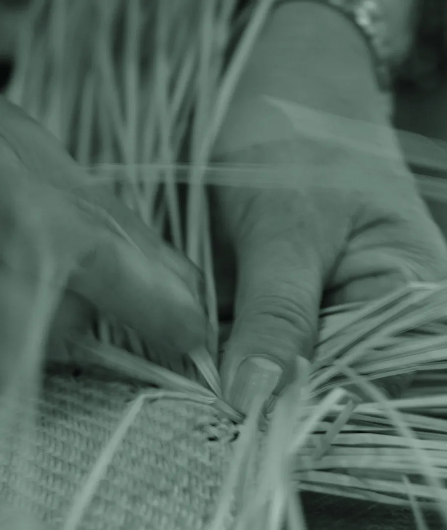 Hands weaving cane by hand.