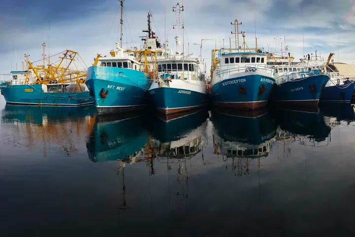 A row of moored fishing trawlers mirrored in still harbour water
