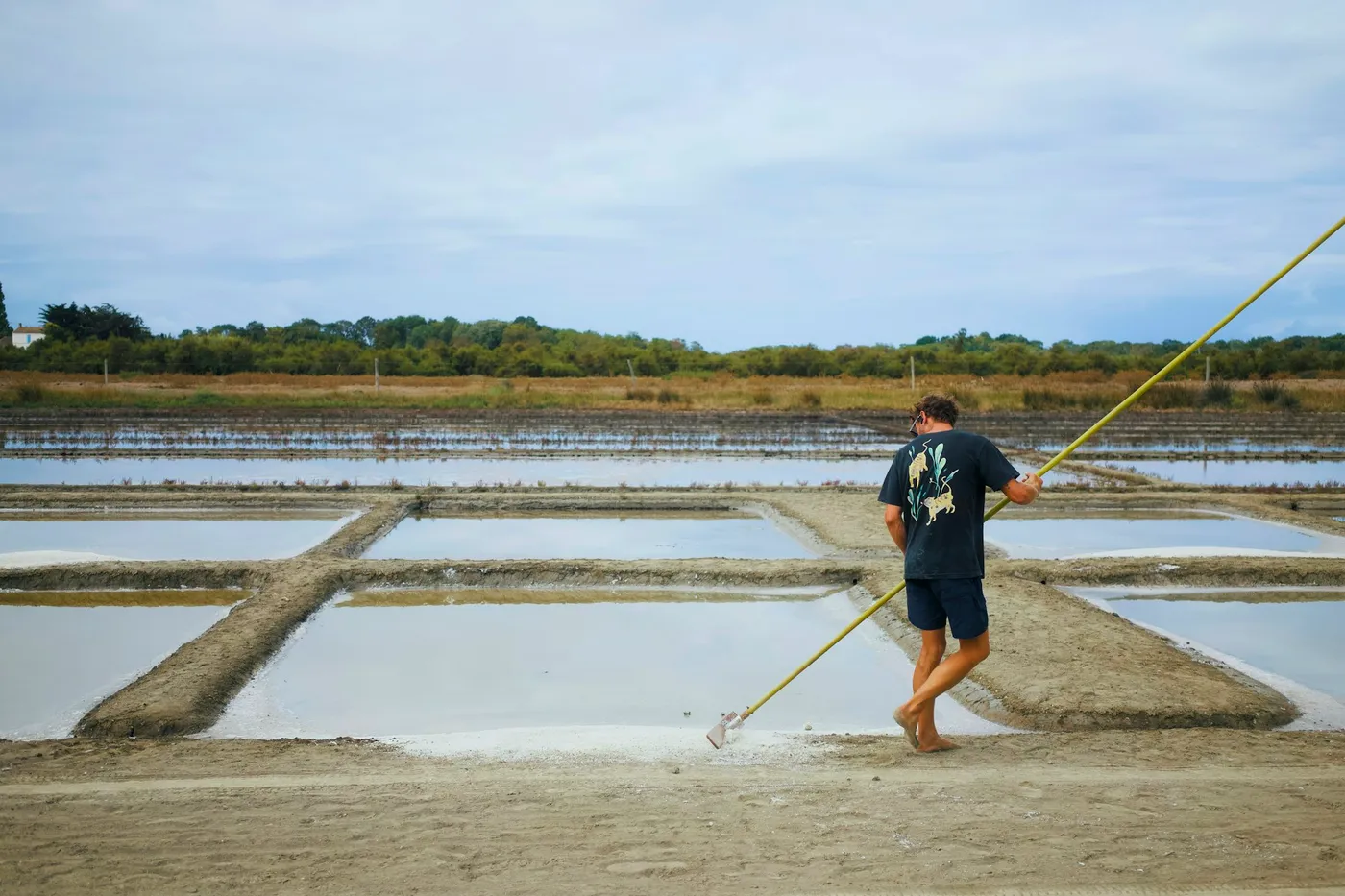 A worker walking the causeway between shallow salt evaporation pans