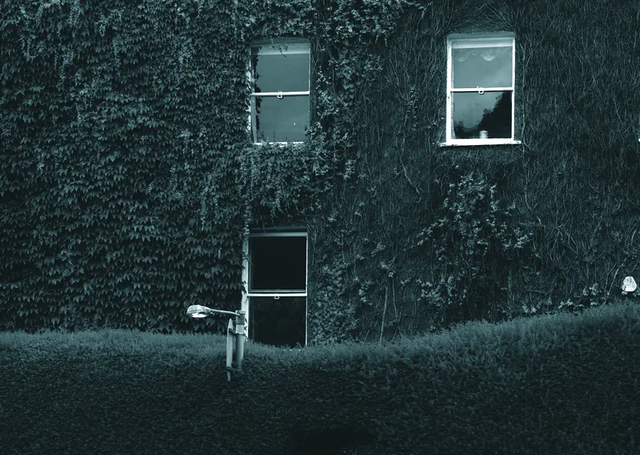 An ivy-covered house front with a sash window above a clipped hedge