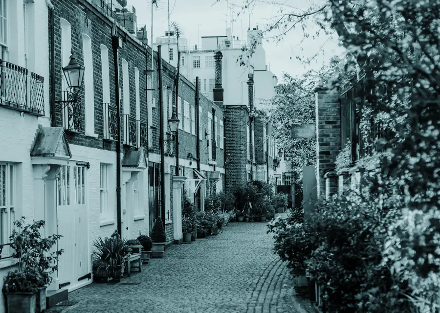 A narrow cobbled mews lane lined with small houses and planted pots