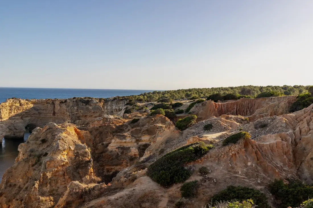 Golden sandstone cliffs and coastal heath dropping to the Atlantic