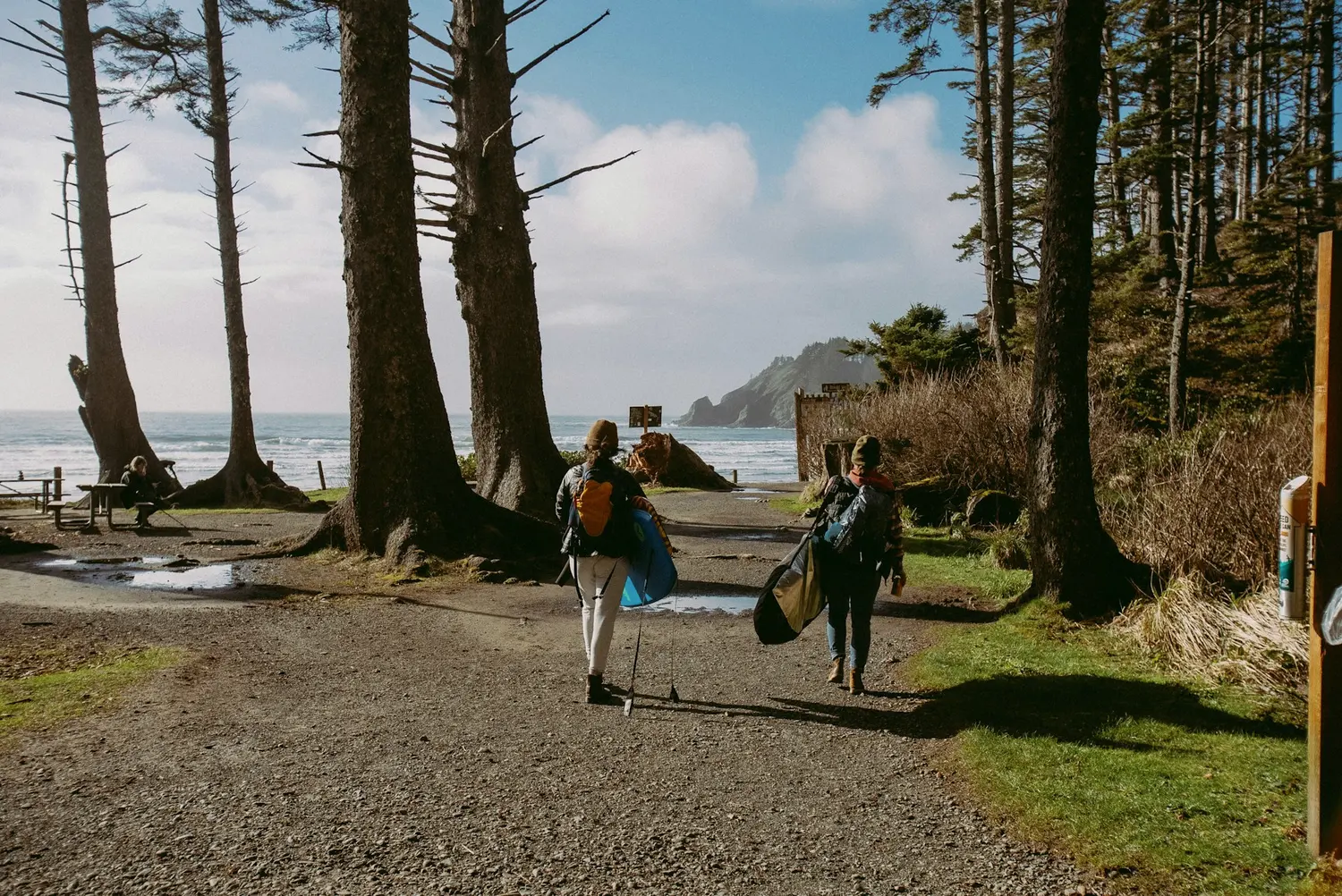 Two walkers with daypacks and trekking poles on the coast path down to the Atlantic, morning sun through the pines