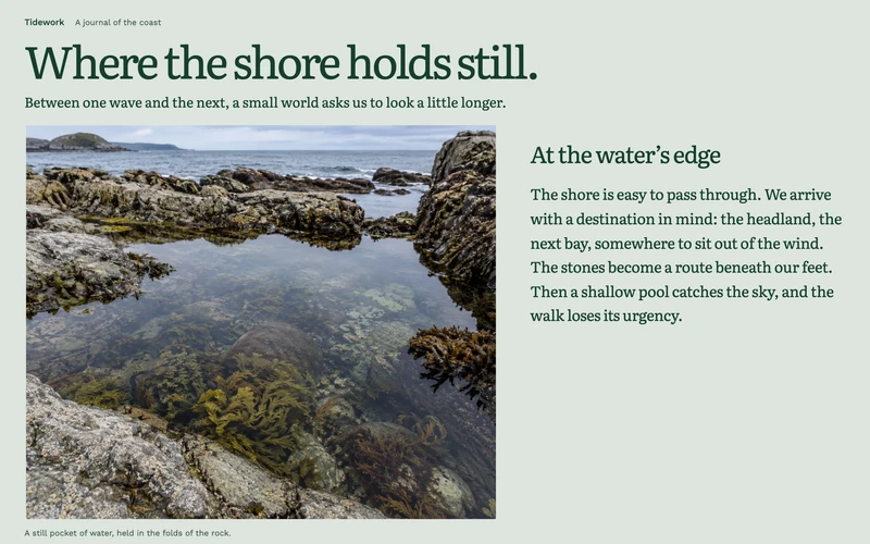 Editorial Story Spread - website section preview